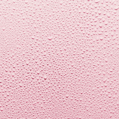 Rose Instant Hydration Mist (100ml)